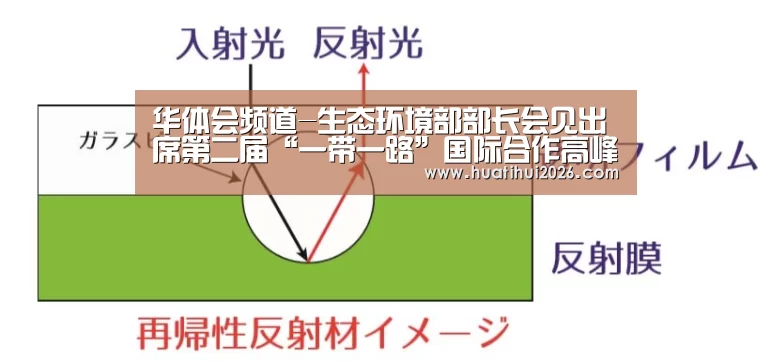 华体会频道-生态环境部部长会见出席第二届“一带一路”国际合作高峰论坛绿色之路分论坛多位外方嘉宾(图3) 华体会官网