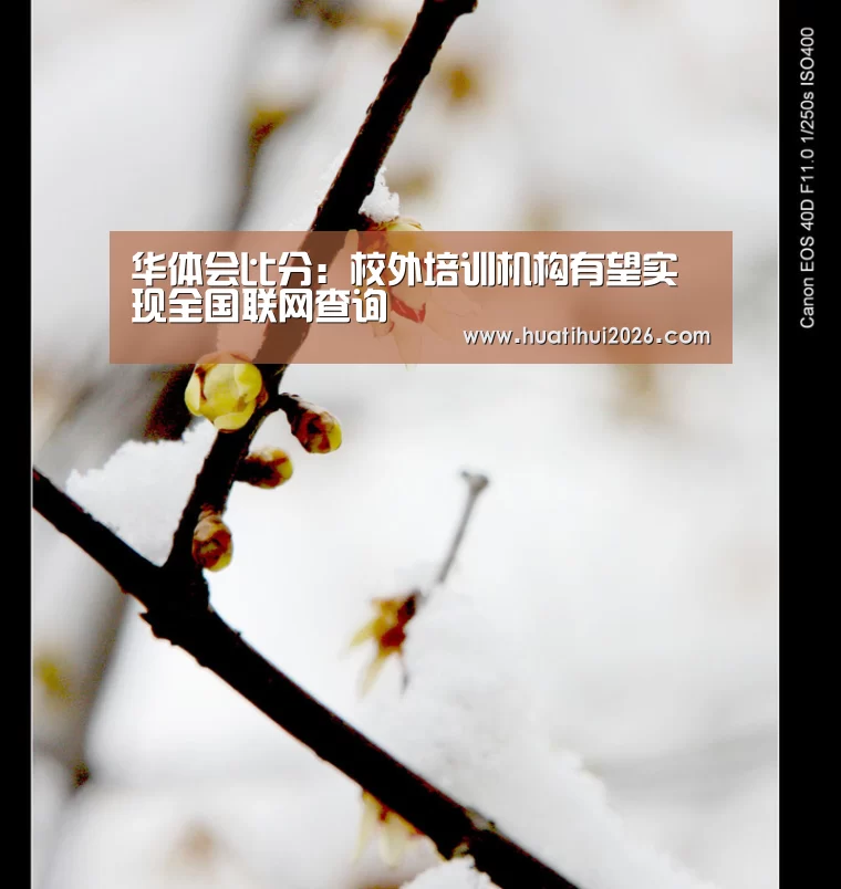 华体会比分:校外培训机构有望实现全国联网查询(图2) 华体会比分